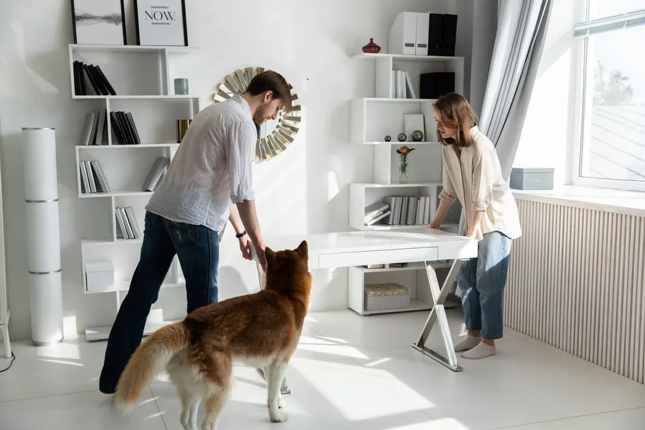 Pet odor control