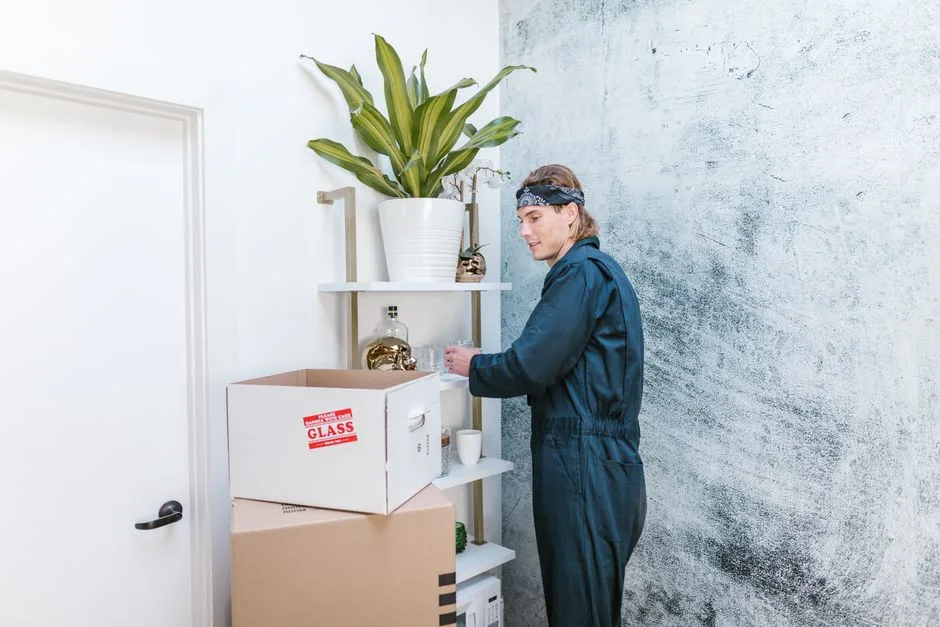 Clean, well-maintained apartment at move-out